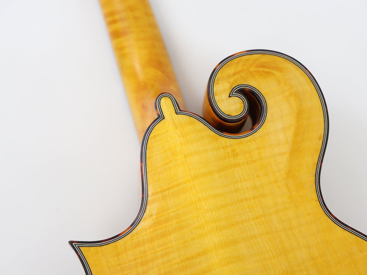 Afanti All Solid Wood F hole F Style Mandola (AML-F10)