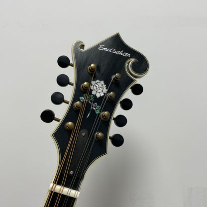 All Solid Flamed Maple Wood body Spruce Top F Style Mandolin