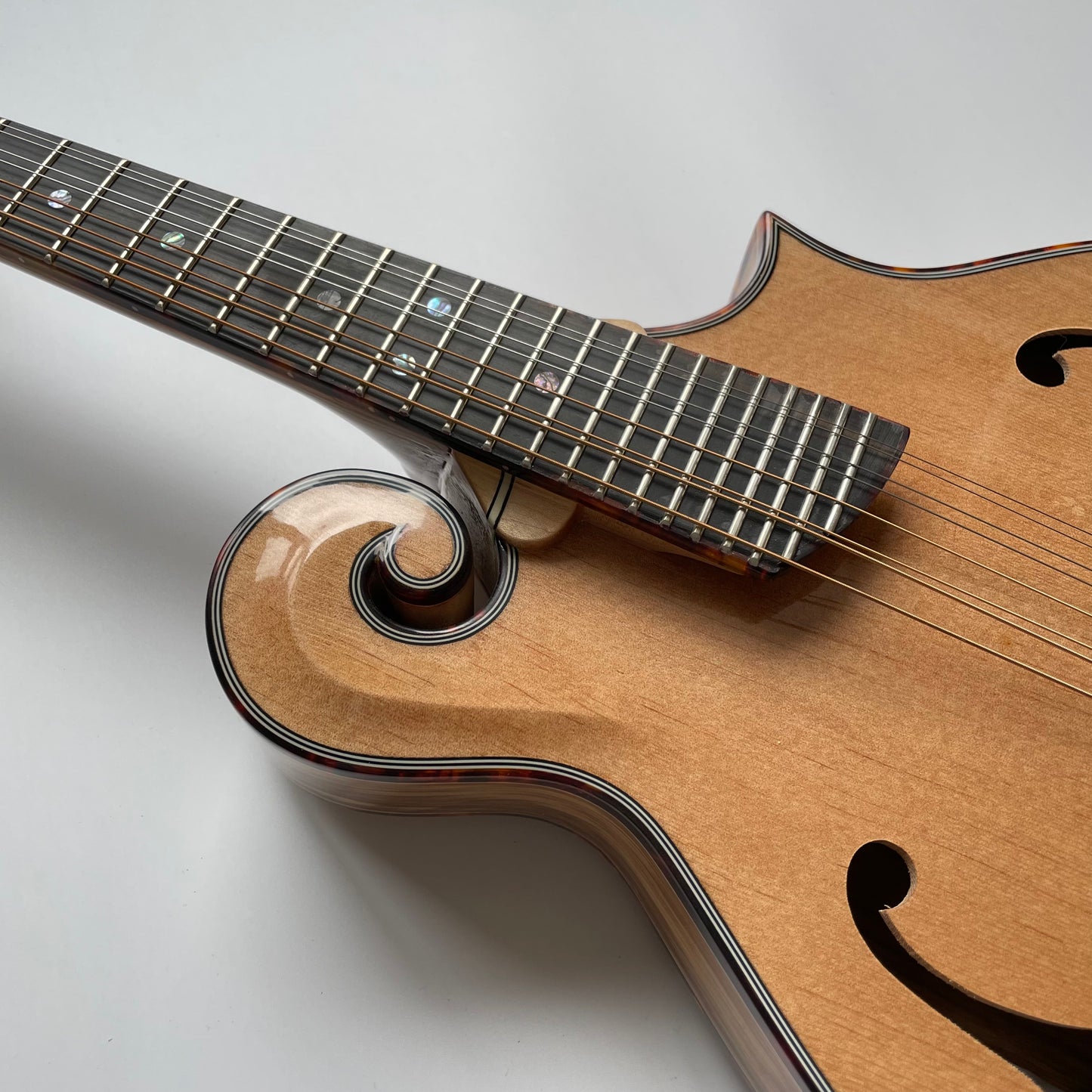 Afanti Solid Zebrawood F Style Mandolin(AM-F90ZB)