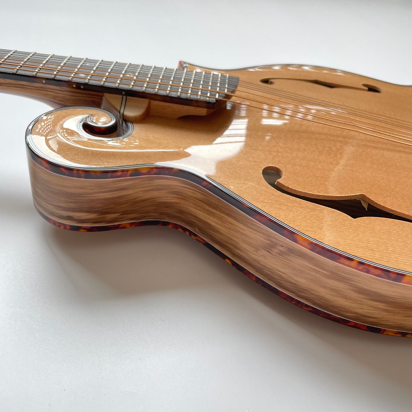 Afanti Solid Zebrawood F Style Mandolin(AM-F90ZB)